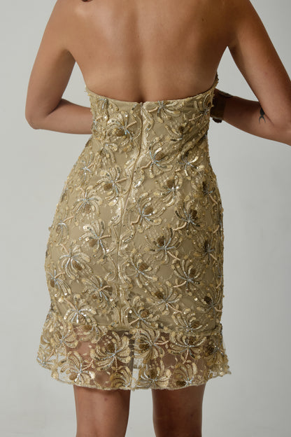 Libelula Strapless Dress